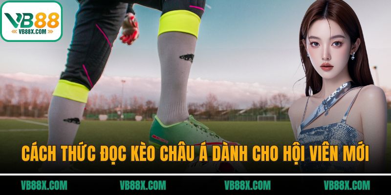 Cách thức đọc kèo châu Á dành cho hội viên mới